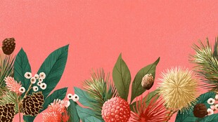 粉色背景的多彩植物元素