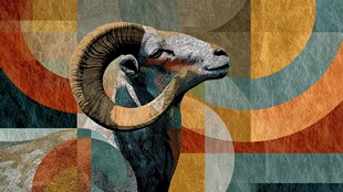 几何背景下的大角羊形象