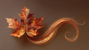 秋意枫叶飘带艺术图景