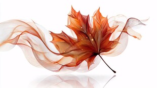 飘逸枫叶 灵动幻彩之美