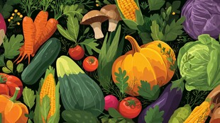 多彩蔬菜大集合