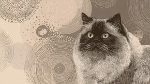 优雅猫咪于复古图案背景中