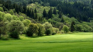 绿野山林间的自然美景