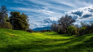 绿野蓝天间的自然美景