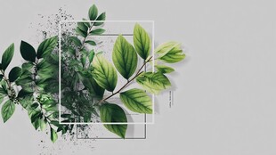 清新绿叶几何框架装饰图