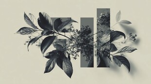 黑白拼贴风植物艺术画面