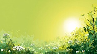 春日阳光照耀下的花草景致