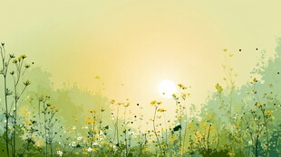 春日晨景中的烂漫野花