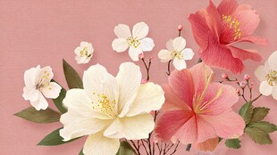 多彩花卉组合 绽放美丽