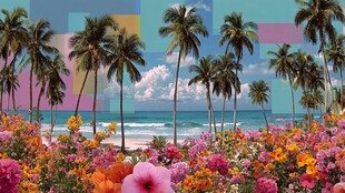 热带海滨花海美丽风光