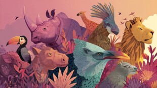 梦幻丛林中的多样动物