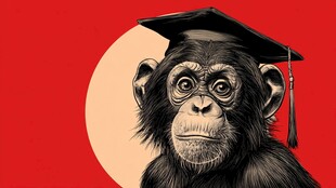 戴学士帽的黑猩猩