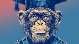 戴学士帽的智慧猴子