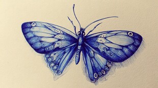 蓝色手绘蝴蝶艺术插画