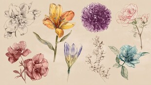 手绘多彩花卉集合