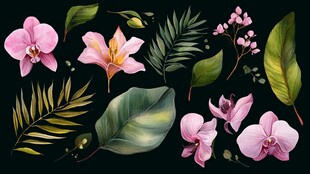 粉色花卉与绿叶插画素材