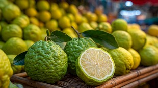 新鲜香橼摆放在木架上