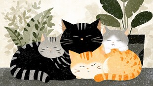 四只猫咪依偎的温馨画面