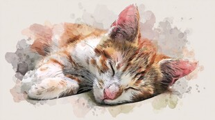 酣睡的水彩小猫