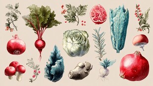 手绘多彩蔬菜与果实集合