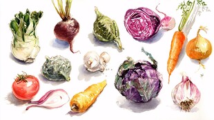 水彩绘多彩新鲜蔬菜集合