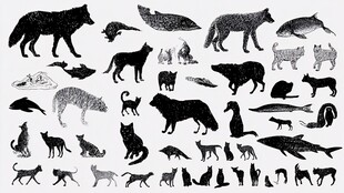 多种动物剪影集合