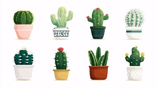 可爱多样的盆栽仙人掌