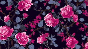 深底粉色玫瑰花卉图案