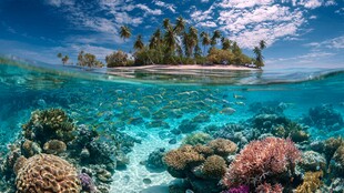 梦幻海底与热带岛屿风光