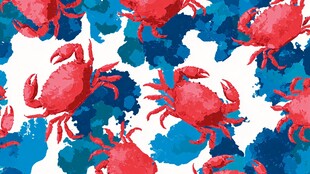 水彩风螃蟹图案背景设计