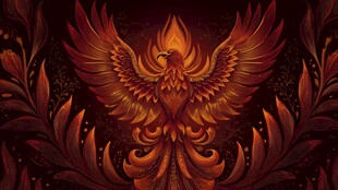 火焰凤凰 华丽绽放