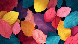 多彩秋叶装点梦幻视觉世界