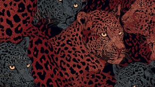 豹纹图案 野性与时尚融合