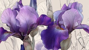 紫色鸢尾花精美手绘插画