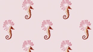 粉色海马图案背景纹理