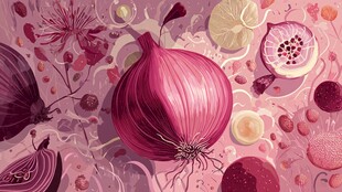 梦幻紫色系洋葱蔬果插画