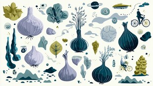 洋葱插画 田园与自然元素