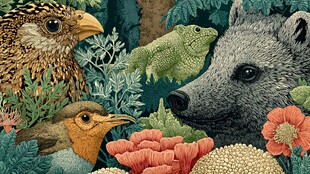 森林中的动物与植物邂逅