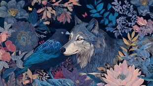 狼与鸦在繁花中的静谧一刻