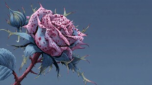 梦幻斑点玫瑰插画