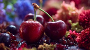 樱桃与繁花的美妙邂逅