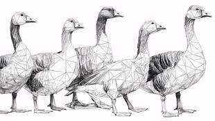 几何风格列队的几只大雁