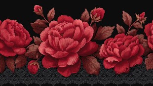 红牡丹花卉蕾丝边装饰图