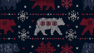 冬季针织熊雪花图案面料