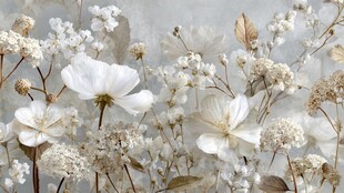 素雅白花静物图