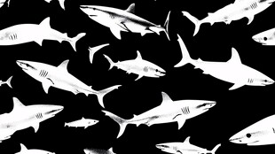 黑白鲨鱼图案背景纹理