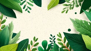 清新绿叶边框背景图