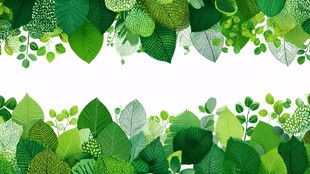 清新绿叶边框背景图