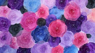 缤纷多彩花卉图案背景