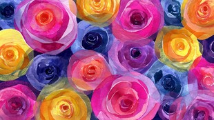 多彩绚丽玫瑰花图案背景